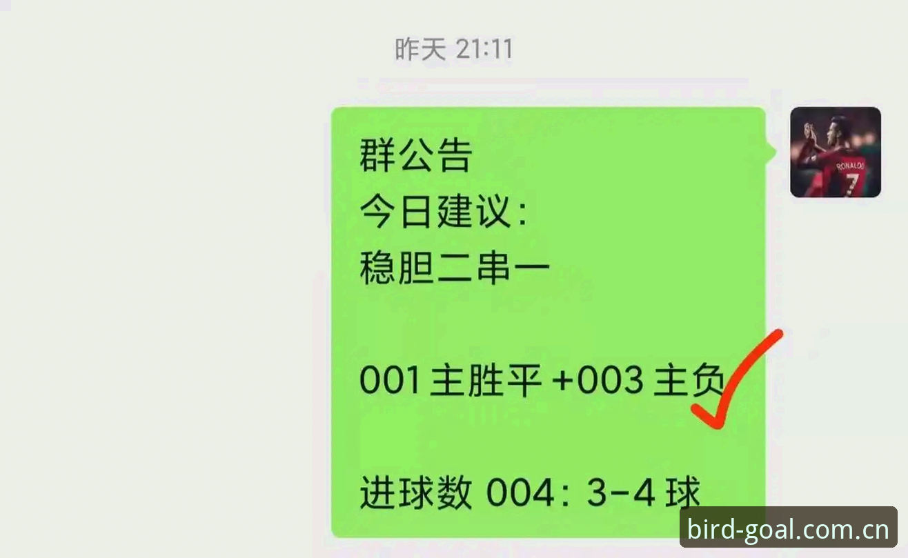 小鸟体育官网完整使用指南：从入门到精通的专业解析