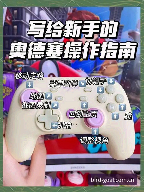 小鸟体育手机版怎么用？三步教你玩转体育赛事新体验